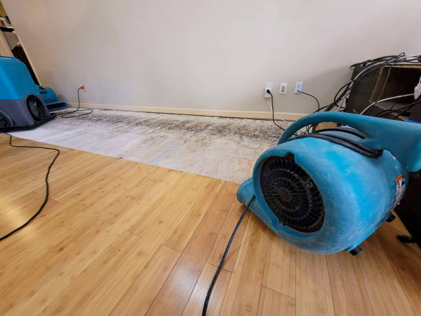 Professional Water Damage Repair technician working in Nunda, SD